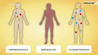 О витаминах, как их принимать и не только в передаче 