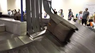 Выдача багажа в Домодедово. Жесть.
