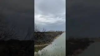 Последствия пожара на Лебяжьем озере. Измаил.