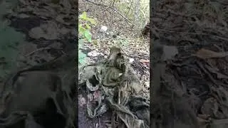 окопы войны, лето,часть7