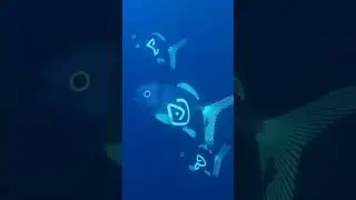 La verdad está en lo profundo 