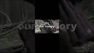 Хургатский лес.  Hürtgenwald.  #shorts  #коп #metaldetecting #лес #ww2 #forest