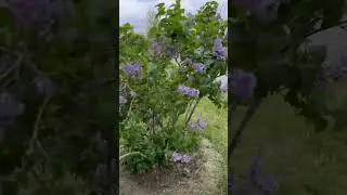 Полинка и я, веселая семья