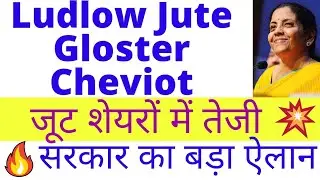 Ludlow jute share news, Gloster ltd share, Cheviot share latest news, jute stocks news today, pt360