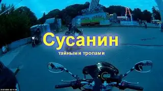 Сусанин