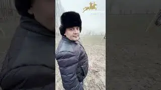 Suvoriylarda yangilikni jinnisi