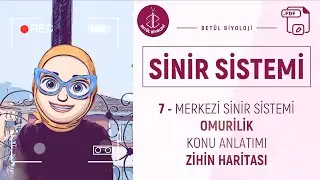 Sinir Sistemi #7 | Merkezi Sinir Sistemi Omurilik | AYT Biyoloji | 11. Sınıf Biyoloji