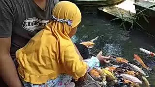 Main sama ikan di purbayasa