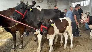 МОЛБОЗОРИ ДУШАНБЕ НАРХИ БОЗОРА БИНЕН НАРХО ХЕЛО НАГЗАЙ 21 августа 2024 г.