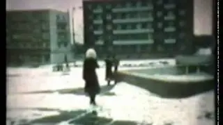 Бричаны 1980