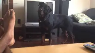 Russ likes to tilt his head!