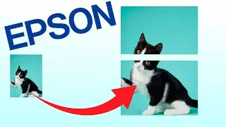 Como dividir uma imagem em várias folhas A4 na impressora Epson L3150 e outros modelos