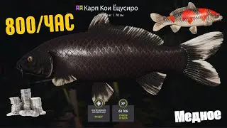 Русская рыбалка 4 (РР4) оз. Медное Карп КОИ