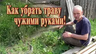 Как убрать траву без триммера // Лайфхак для дома