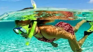 Andaman Snorkeling | Havlock Island | Elephant Beach |