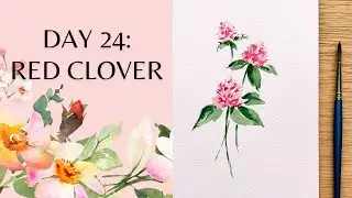 Day 24 - watercolor red clover