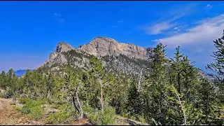 McFarland Peak Summit | Mt Charleston Wilderness, Nevada