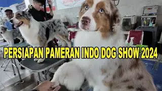 Persiapan Pameran Indo Dog Show 2024 - PLUIT VILLAGE JAKARTA UTARA