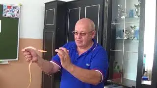 живой уголок