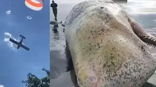 Most Strangest Things Happening In The World | Watch At Your Risk