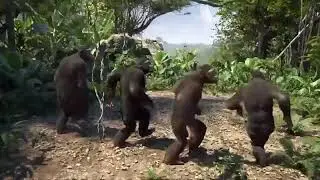 monkey moves