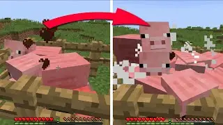MINECRAFT, but EVERY MOB Multiplies