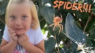 🕷HUGE BUG!🕷😱