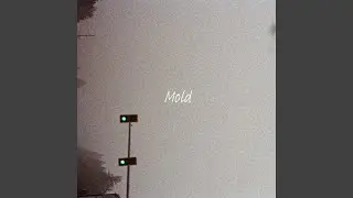 Mold