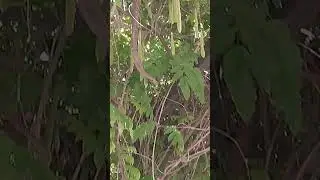 просто жизнь.Ничего особенного