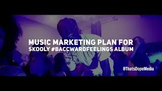 Music Marketing Plan For Skooly Baccward Feelings Album