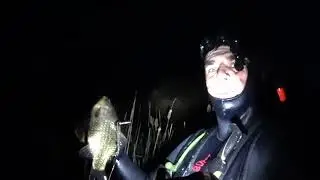 подводная охота на Карьере! царство Раков!