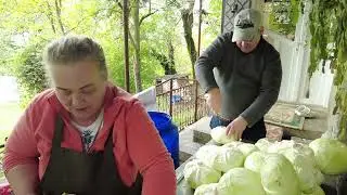 Pickled cabbage for the winter