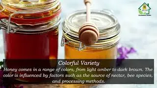 Unveiling the Hidden Wonders of Honey