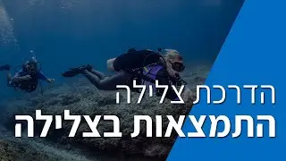 התמצאות בצלילה - אמיר גור