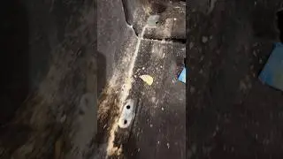 🤮CZYSZCZENIE NAJBRUDNIEJSZEGO AUTA