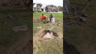 Huge Rock in my Lawn