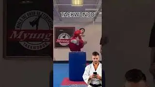 Taekwondo vs Kickboxing Martial Arts