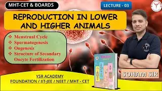 Class 12 Lecture -3 | Reproduction in Lower and Higher Animals | #ysracademy | Maharashtra Boards