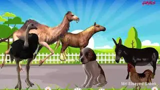 اصوات و اسماء حيوانات وطيور المزرعة باللغة الفرنسية | Noms et sons des animaux de la ferme et des oi