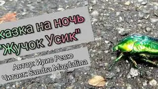 Сказка на ночь 