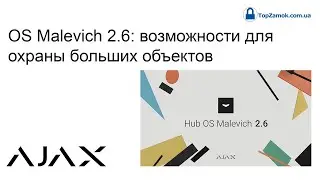OS Malevich 2.6: возможности для охраны больших объектов