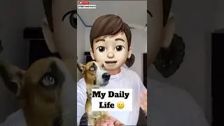 My Daily Life 🙄 | 