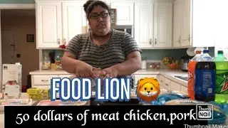 MEAT,CHICKEN AND PORK HAUL (FOOD LION ) UNDER 50 DOLLARS 😱