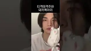 티격태격주와 돼끼옷 입은 뽁아리 [스트레이키즈/스키주/창빈/현진/승민]