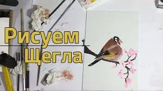 Как нарисовать птицу акрилом. Щегол. Рисование для детей 6+