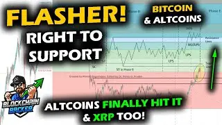 QUICK LIQUIDATION Finally Happens for Bitcoin Price Chart & Altcoin Market, XRP FINALLY HITS SUPPORT