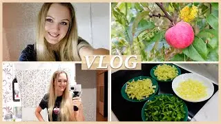 🍎 СОБИРАЕМ ЯБЛОКИ | ЗАМОРОЗКА ПЕРЦЕВ | ФИГУРНЫЕ НОЖИ