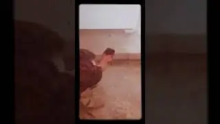 querem ver como ele ficou quando creseu?
