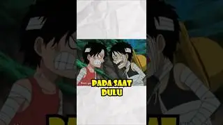 LUFFY ❗❓ PENGHIANAT TERBESAR DUNIA ONEPIECE