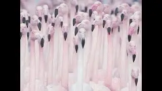 Cover by Queen/🌚/Stigmata-Сентябрь горит🔥